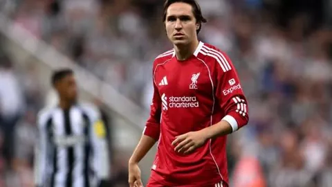 星耀娱乐 产品 025157 zr0